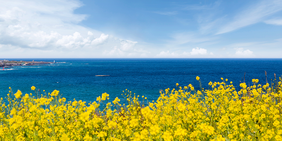 20251209144803_eV04dJgn.jpg_carousel_수지참빛교회_수지구 동천동에 위치한 수지참빛교회 입니다.