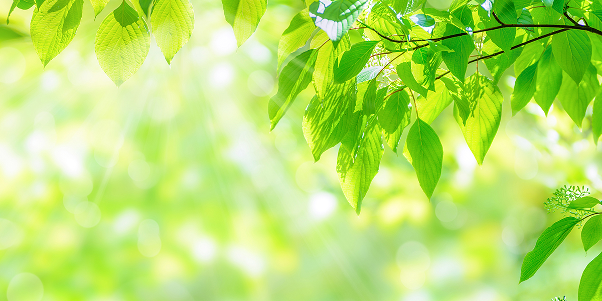 20260107110611_9B3slvgy.jpg_carousel_수지참빛교회_수지구 동천동에 위치한 수지참빛교회 입니다.