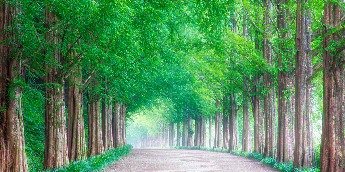 20260128105440_LVIteUYX.jpg_carousel_수지참빛교회_수지구 동천동에 위치한 수지참빛교회 입니다.