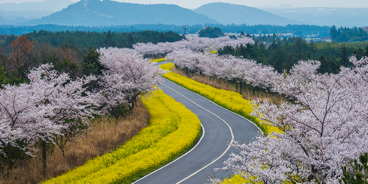 20260401151602_i0wI9dv1.jpg_carousel_수지참빛교회_수지구 동천동에 위치한 수지참빛교회 입니다.