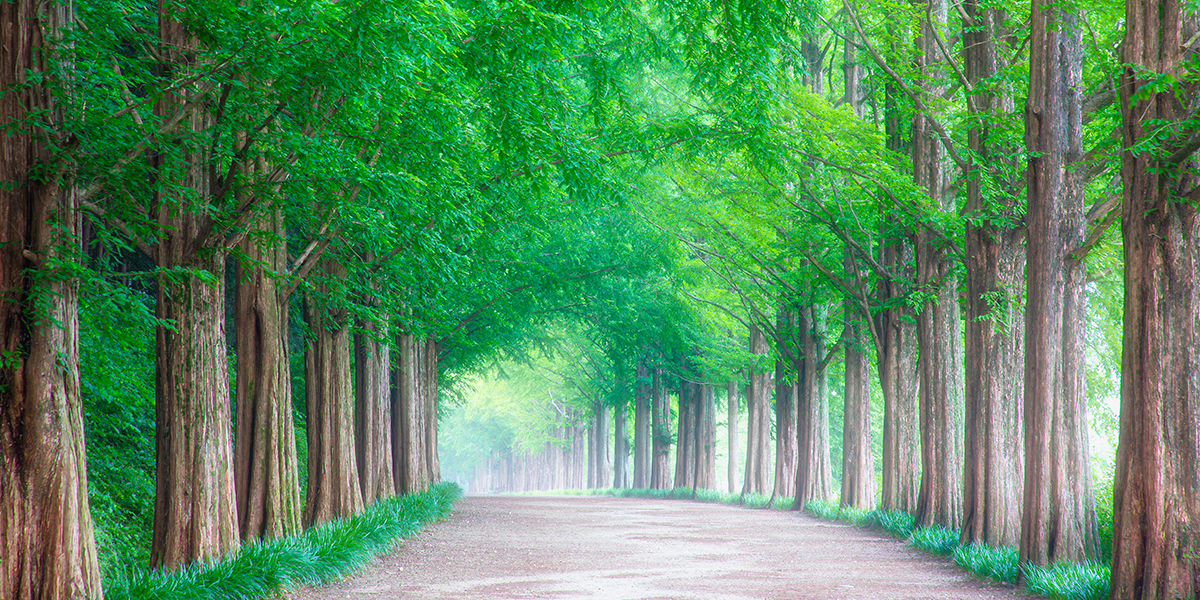 20260413140748_Oe6pfFWS.jpg_carousel_수지참빛교회_수지구 동천동에 위치한 수지참빛교회 입니다.