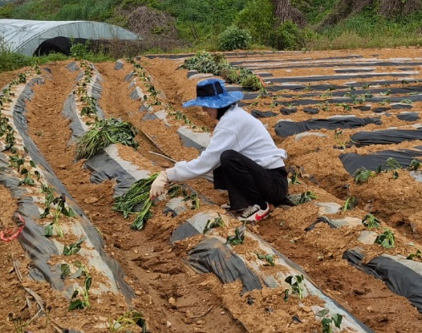 /user/s/sujichambit/editor/2505/32d9bc7dbaa764363319e406d73aef4c_1747920668_8778.PNG 이미지크게보기