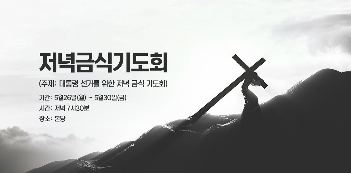 /user/s/sujichambit/editor/2505/ca153db4dd7298bdcfadb886e66addb7_1748260589_5964.png 이미지크게보기