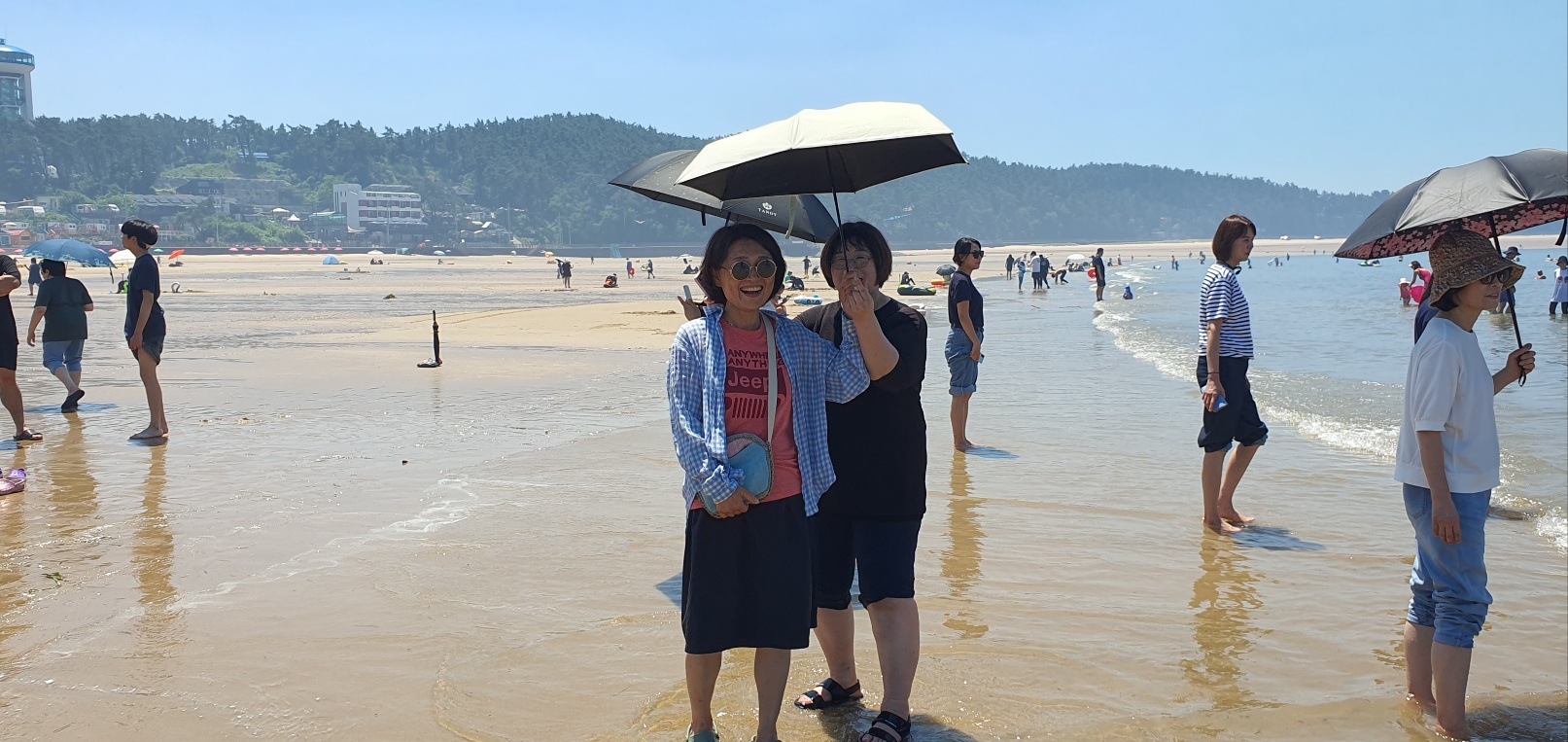 /user/s/sujichambit/editor/2508/3e7f41caf466edad7cc2df020fa59445_1754479819_3748.jpg 이미지크게보기