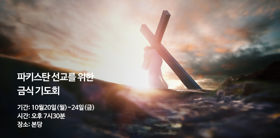 /user/s/sujichambit/editor/2510/7893fdcc2281033fadf16765dee65f4a_1761183875_7433.PNG 이미지크게보기