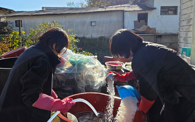 /user/s/sujichambit/editor/2511/89cc2af0de804206006715ea34ed3d03_1763471986_7525.png 이미지크게보기