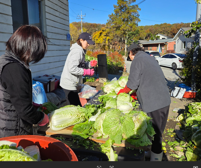 /user/s/sujichambit/editor/2511/89cc2af0de804206006715ea34ed3d03_1763471986_8881.png 이미지크게보기