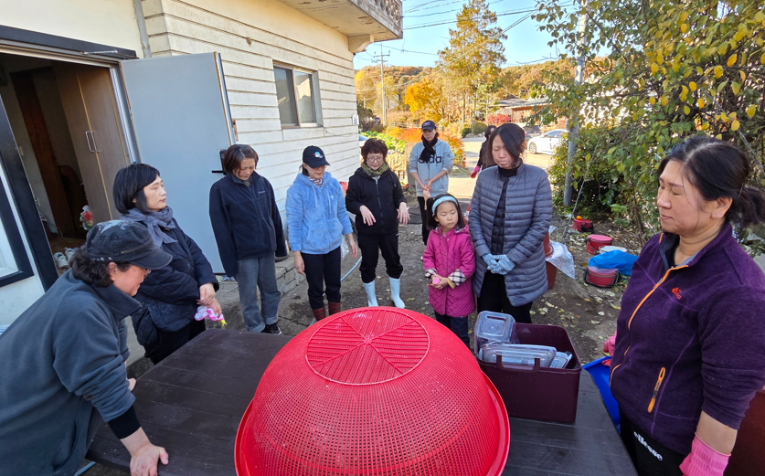 /user/s/sujichambit/editor/2511/89cc2af0de804206006715ea34ed3d03_1763472005_3787.png 이미지크게보기