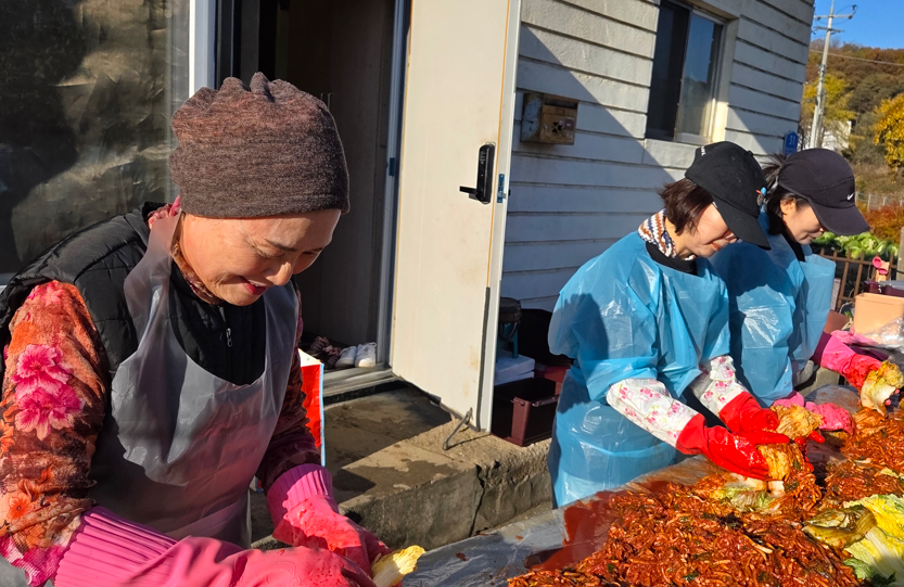 /user/s/sujichambit/editor/2511/89cc2af0de804206006715ea34ed3d03_1763472015_2088.png 이미지크게보기