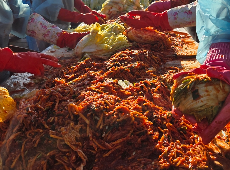 /user/s/sujichambit/editor/2511/89cc2af0de804206006715ea34ed3d03_1763472015_4401.png 이미지크게보기