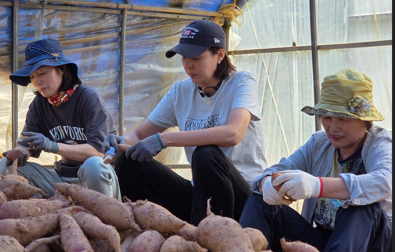 /user/s/sujichambit/editor/2512/0a3b634215d554f32616e789b64a473d_1764845330_8226.png 이미지크게보기