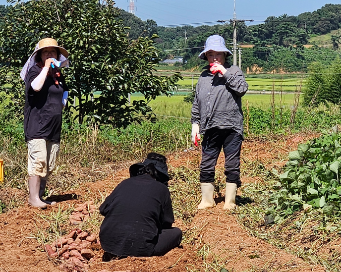 /user/s/sujichambit/editor/2512/0a3b634215d554f32616e789b64a473d_1764845354_5018.png 이미지크게보기