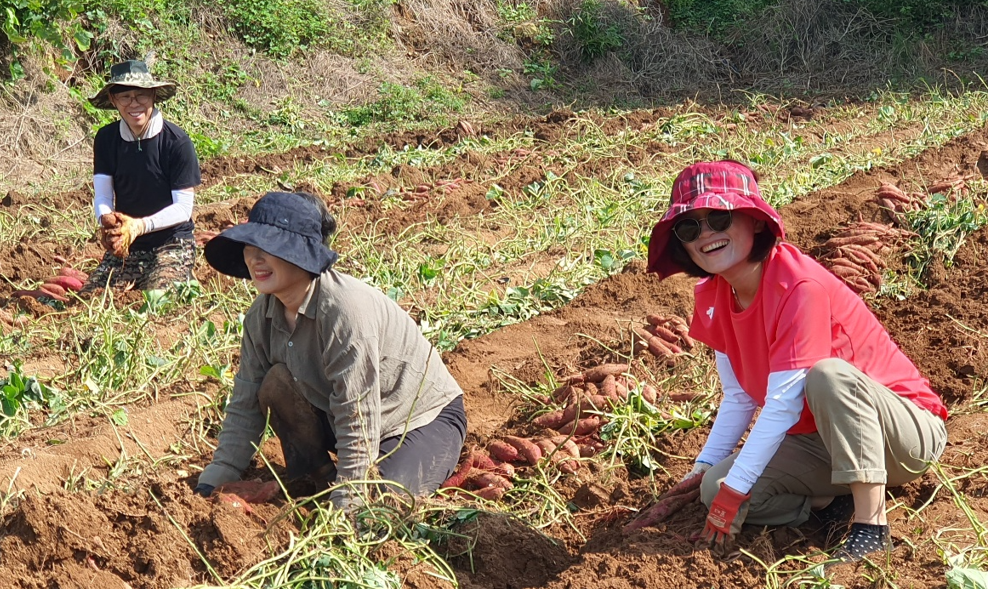 /user/s/sujichambit/editor/2512/0a3b634215d554f32616e789b64a473d_1764845365_4331.png 이미지크게보기