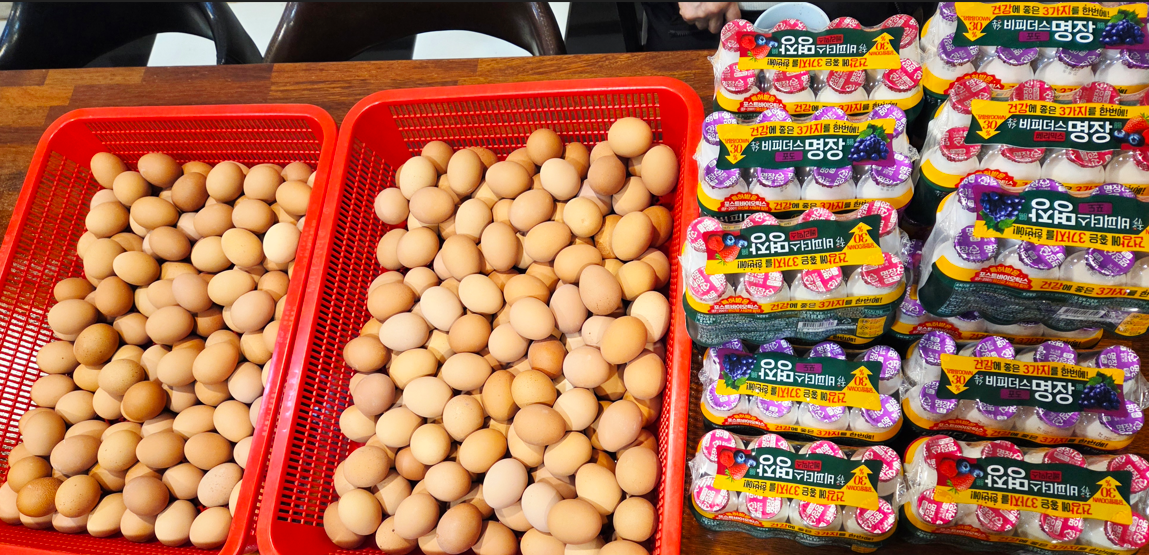 /user/s/sujichambit/editor/2604/f013ee759a9f73d80d1a52404b9216ff_1775570064_1805.png 이미지크게보기